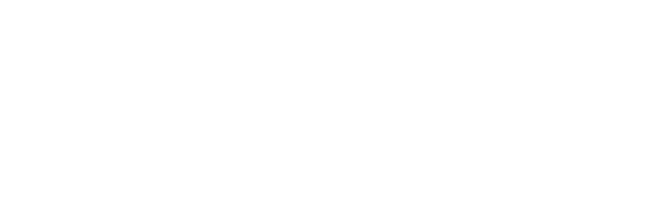 Professional Insurance Strategies