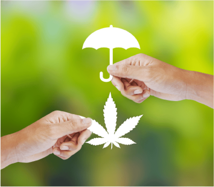 Cannabis insurance carriers
